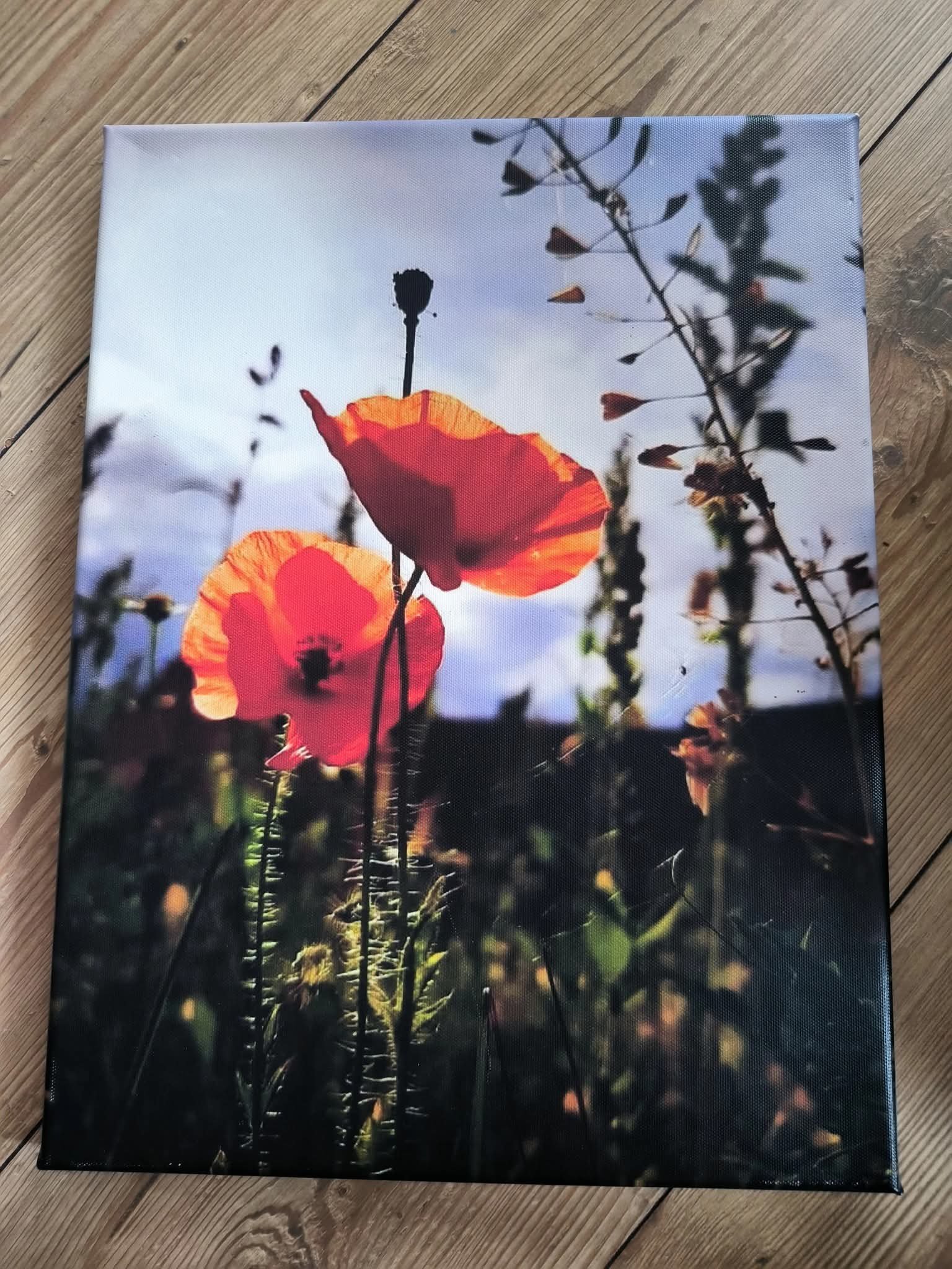 Zwei Mohnblumen Leinwand 30x40
