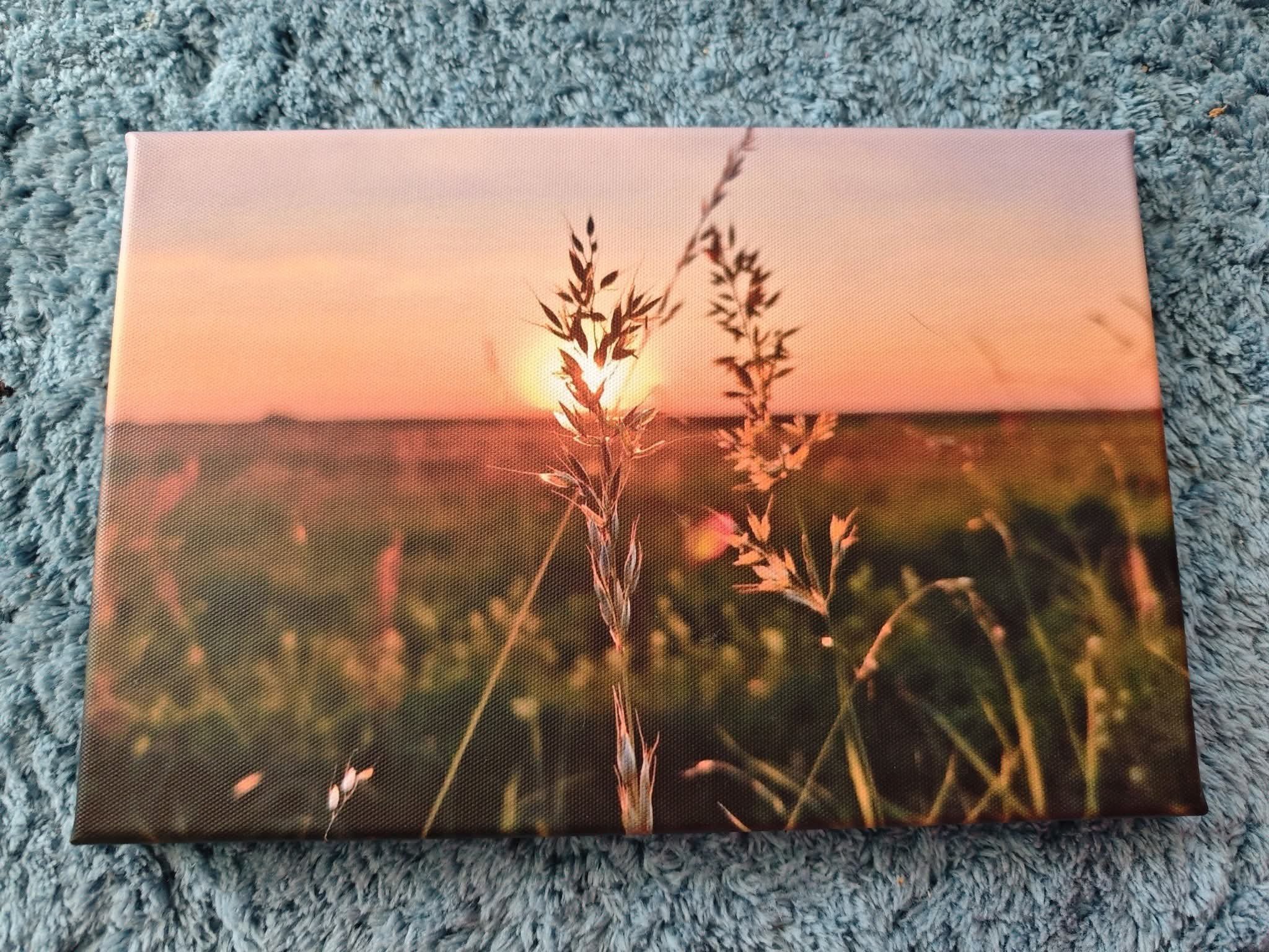 Gräser Leinwand 30x20